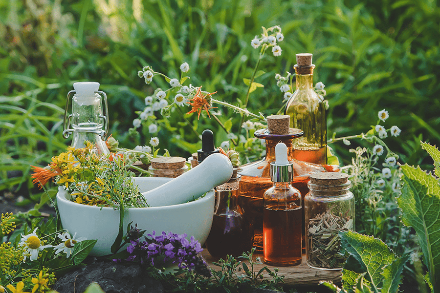 Photo dans la nature de diverses huiles, plantes, fleurs, mélanges, huiles essentielles... Ces solutions naturelles en aromathérapie et phytothérapie viennent aider le naturopathe dans son accompagnement.