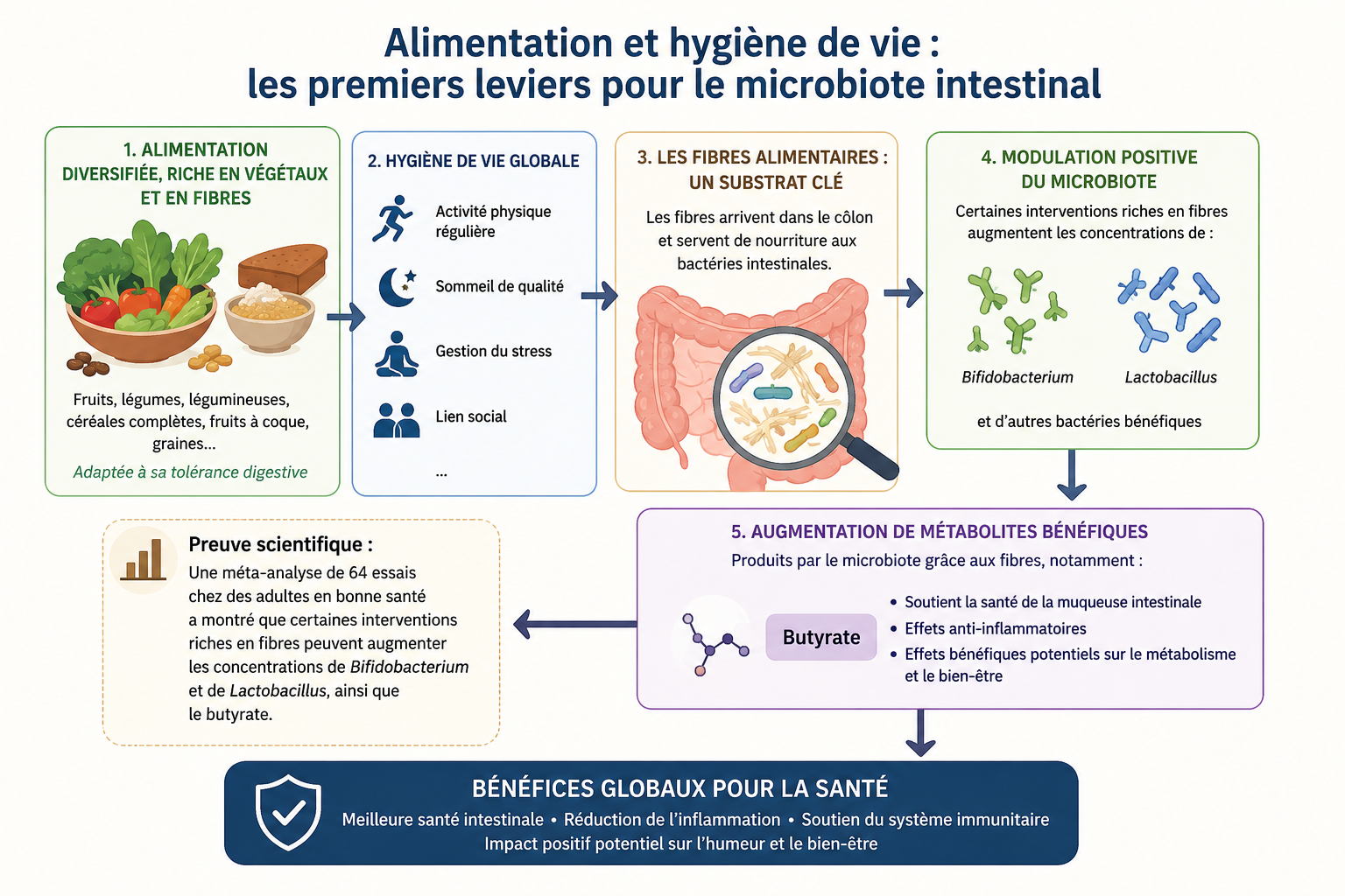 Alimentation et hygiène de vie